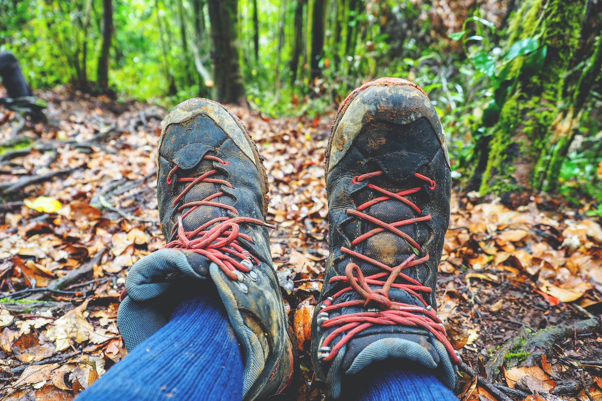 5 Best Hiking Boots for Appalachian Trail In 2024